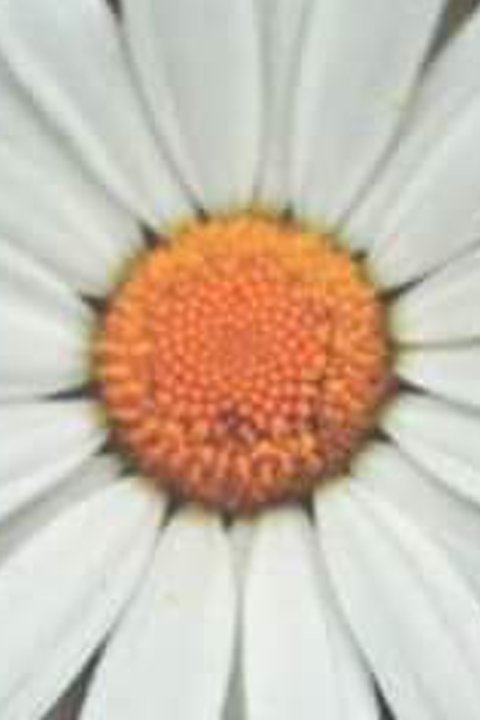 0913_fatima's profile banner image