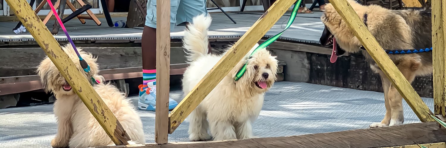 Oyefeso Ayotunde banner