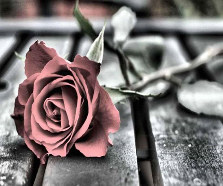 4Keeps2's profile banner image