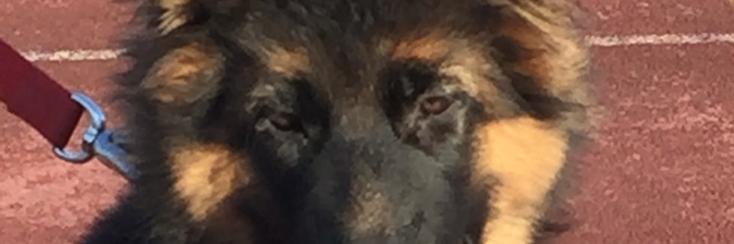 osullivanterry7's profile banner image
