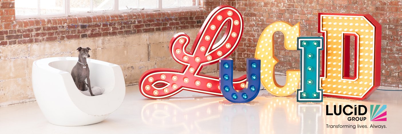 Lucid Group banner