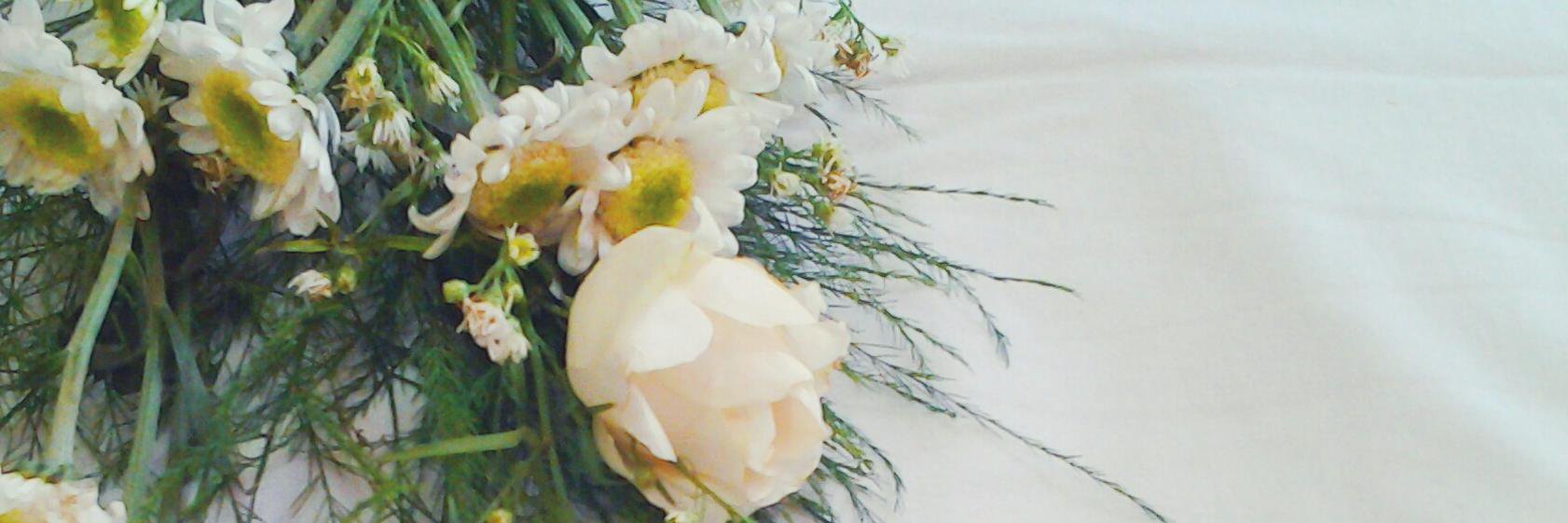 meilafajrie's profile banner image