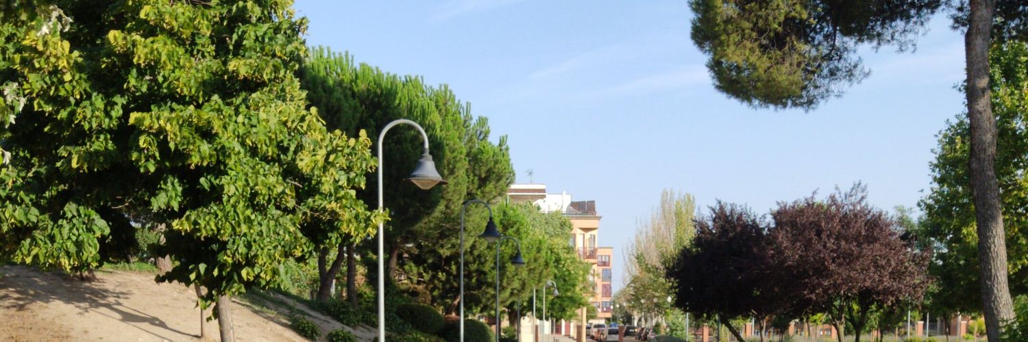 txelusoft's profile banner image