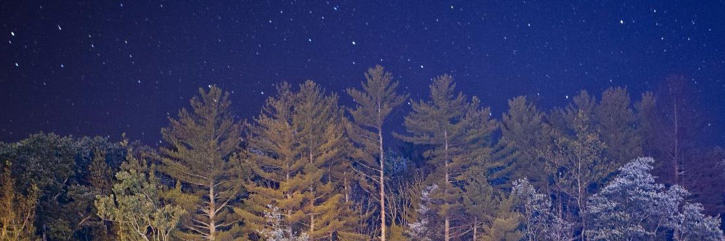 majosanflorr's profile banner image