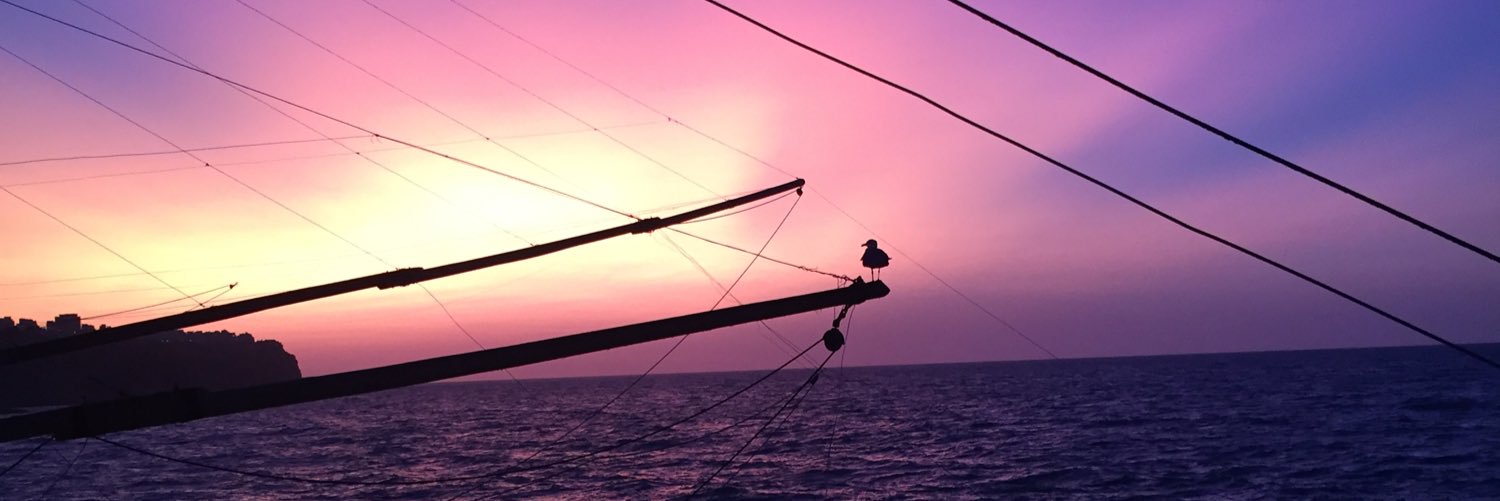 GMannini's profile banner image