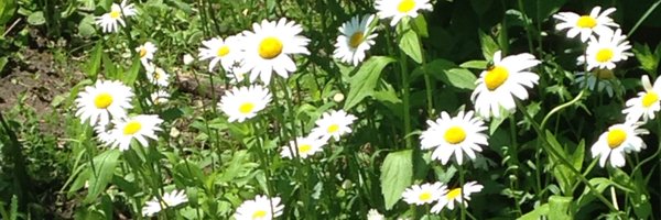 hjfowler8 Profile Banner