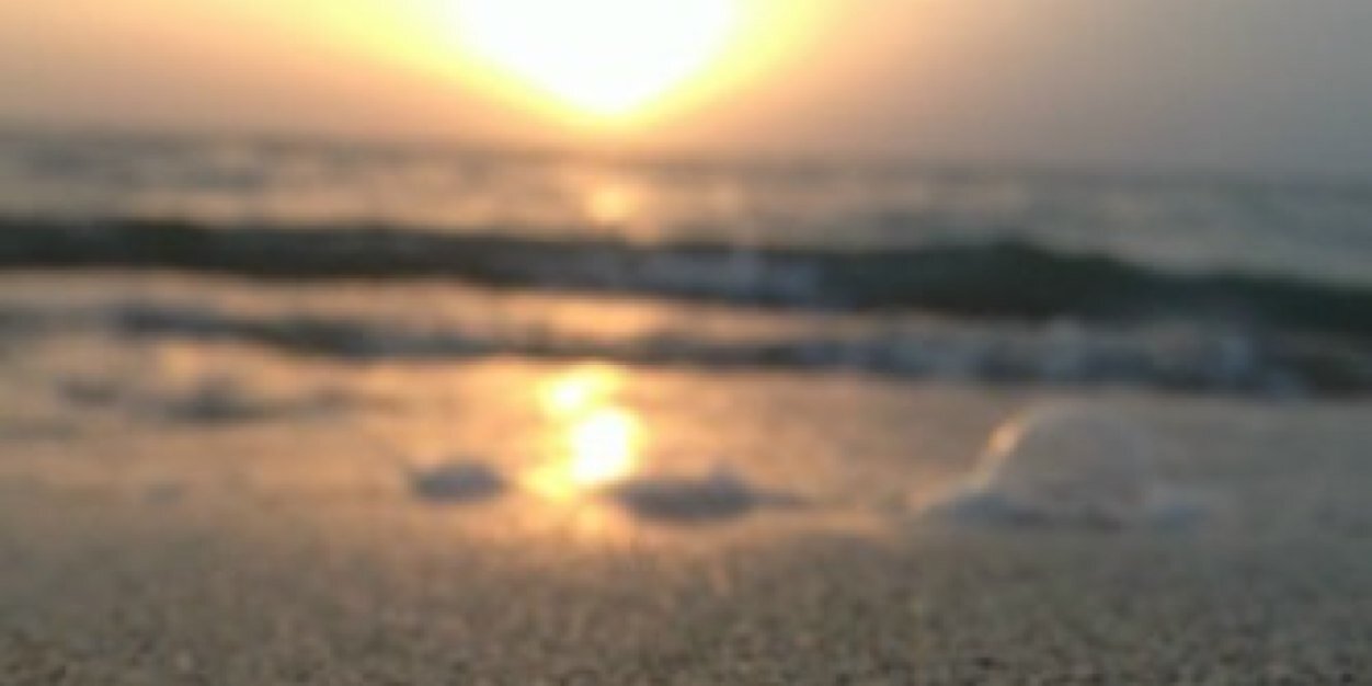t_otah's profile banner image
