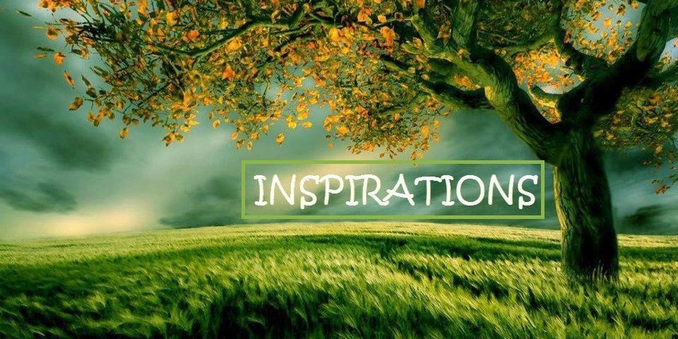 lee_charissa's profile banner image