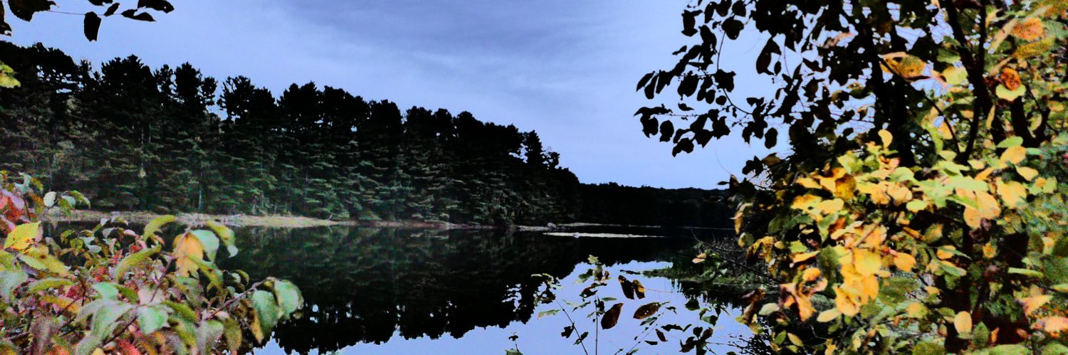 ClarkLiliane's profile banner image