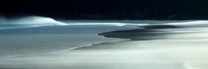 Vic Rodrick 🦠 banner