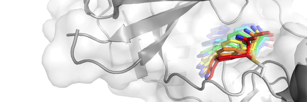 london_lab Profile Banner