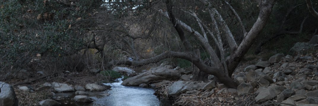 Suttonn's profile banner image
