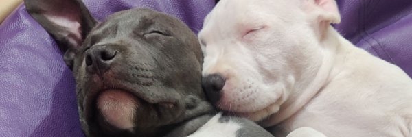 F91Blake Profile Banner