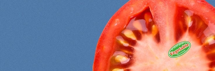 cecilia ervilha banner