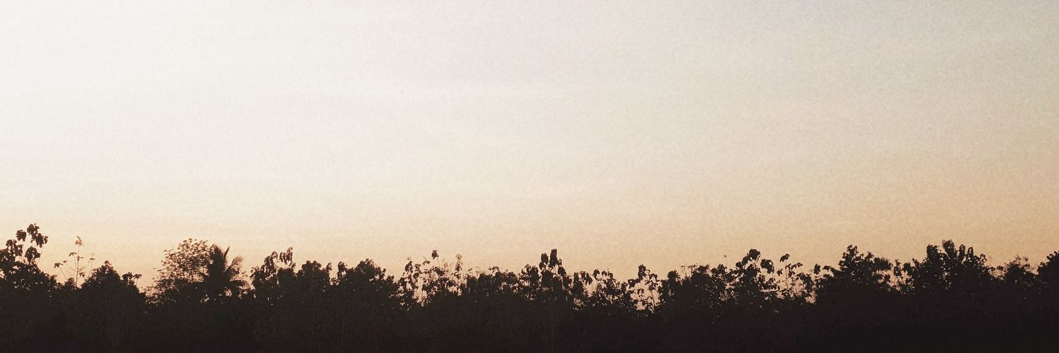 flukeeheehee's profile banner image