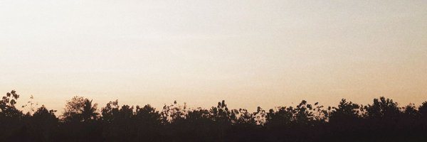 flukeeheehee Profile Banner