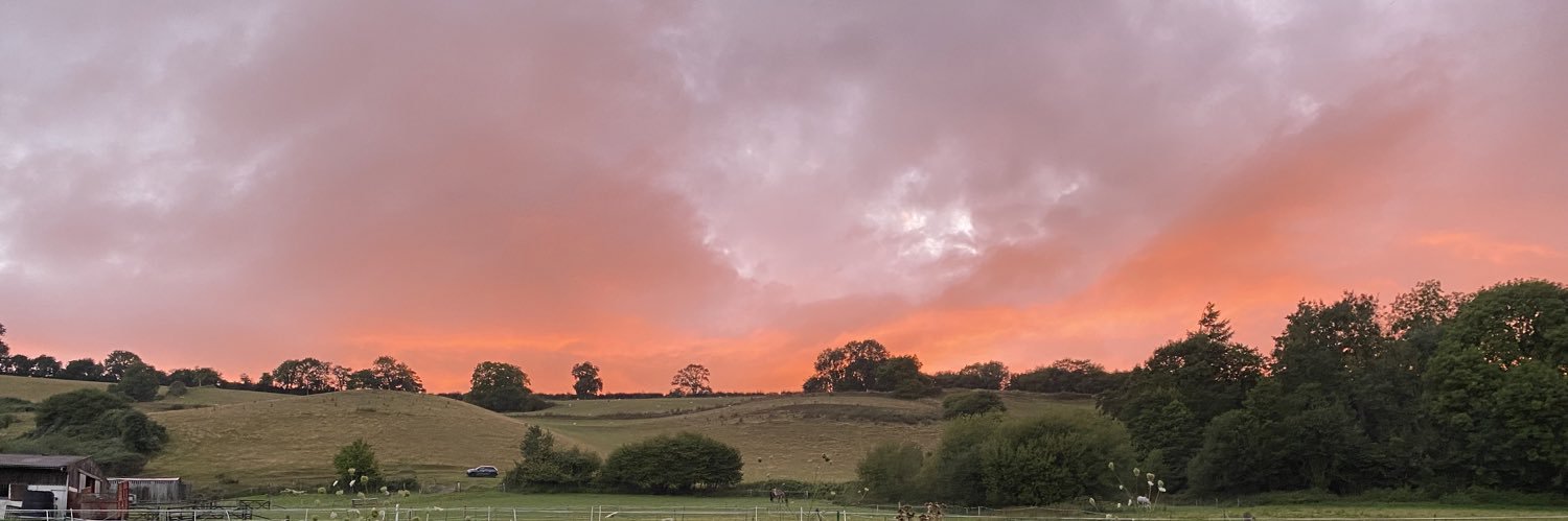 Vikki Rogers banner