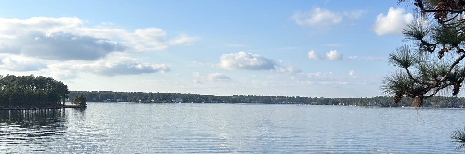 karazoellner7's profile banner image