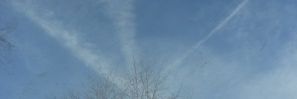 cleanprofits Profile Banner