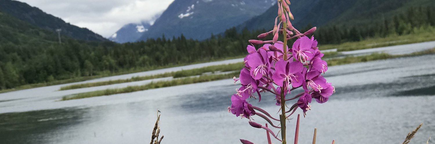 artiller's profile banner image