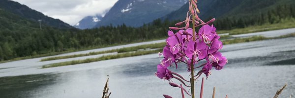 artiller Profile Banner
