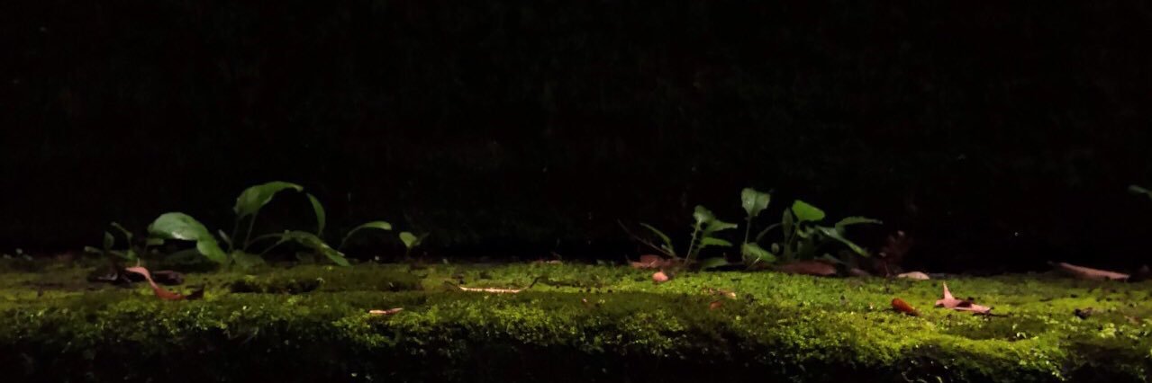 miil117's profile banner image