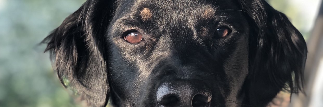 bekah002's profile banner image