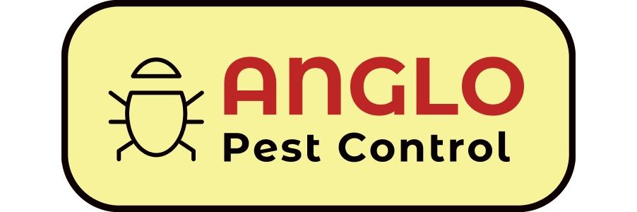 Anglo Pest Control (@AngloPest) / Posts / X