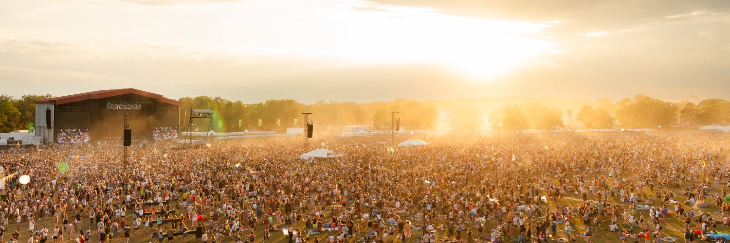Bonnaroo's banner