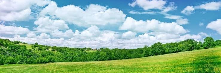 FreeFromNWO's profile banner image