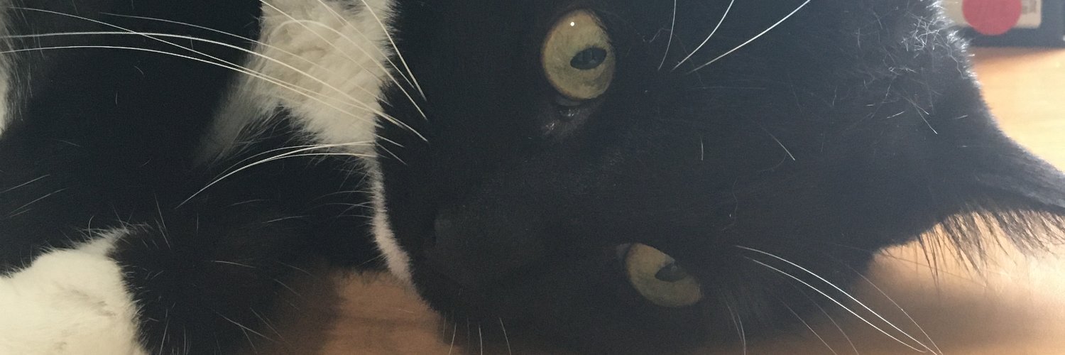 Mrs_Robb's profile banner image