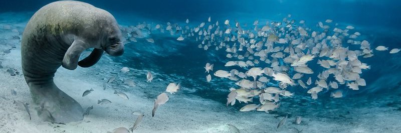 Bo_Dragana's profile banner image