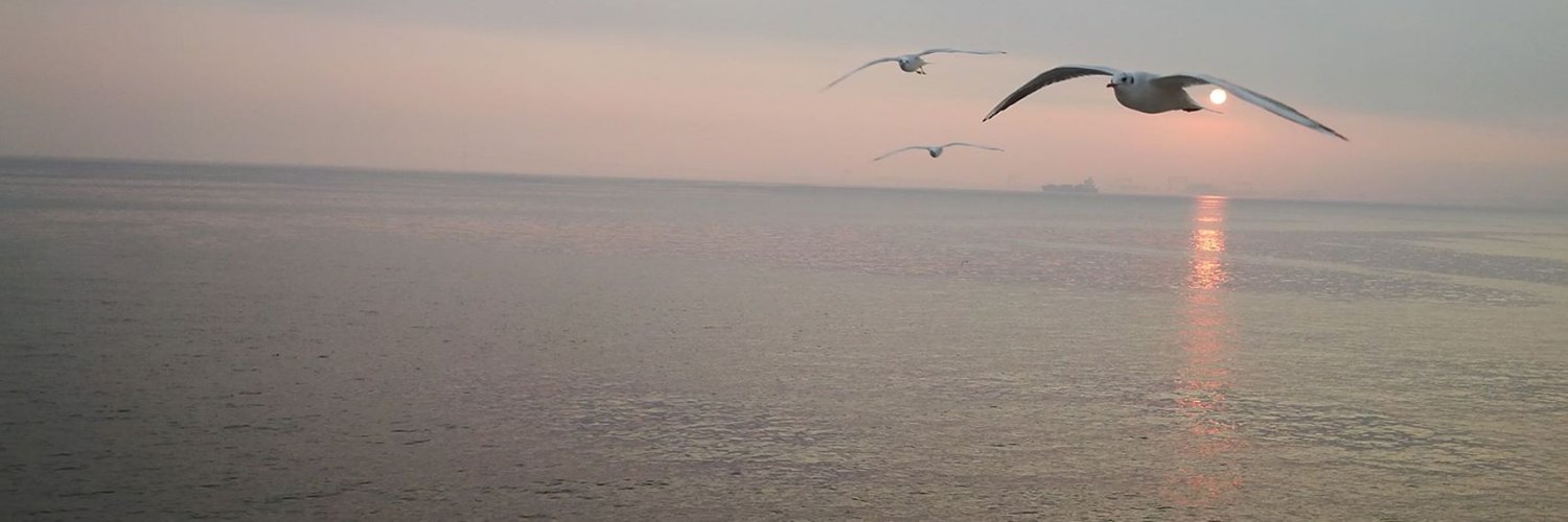 suleymandmircan's profile banner image