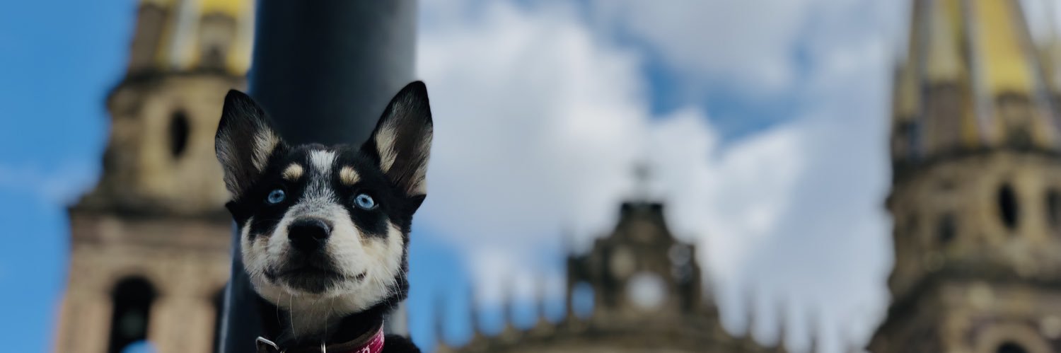 imlicblacky's profile banner image