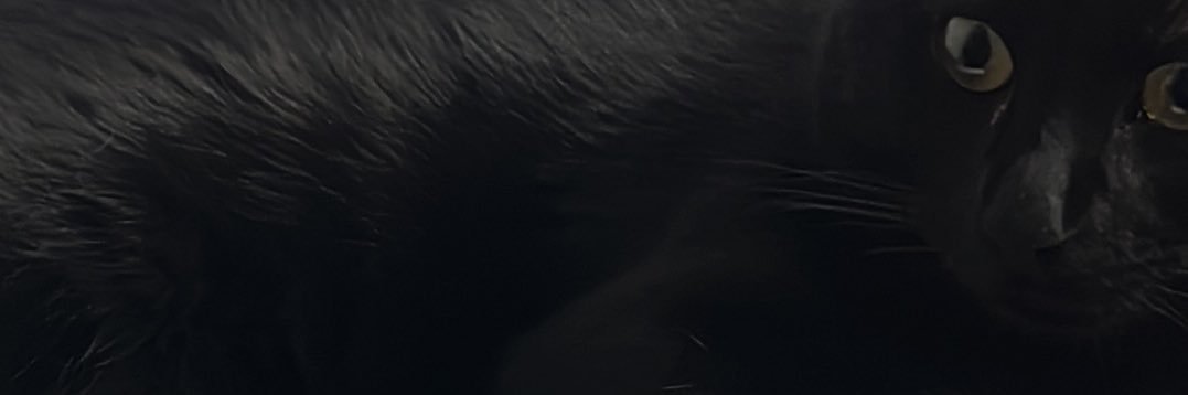 LunaRooy's profile banner image
