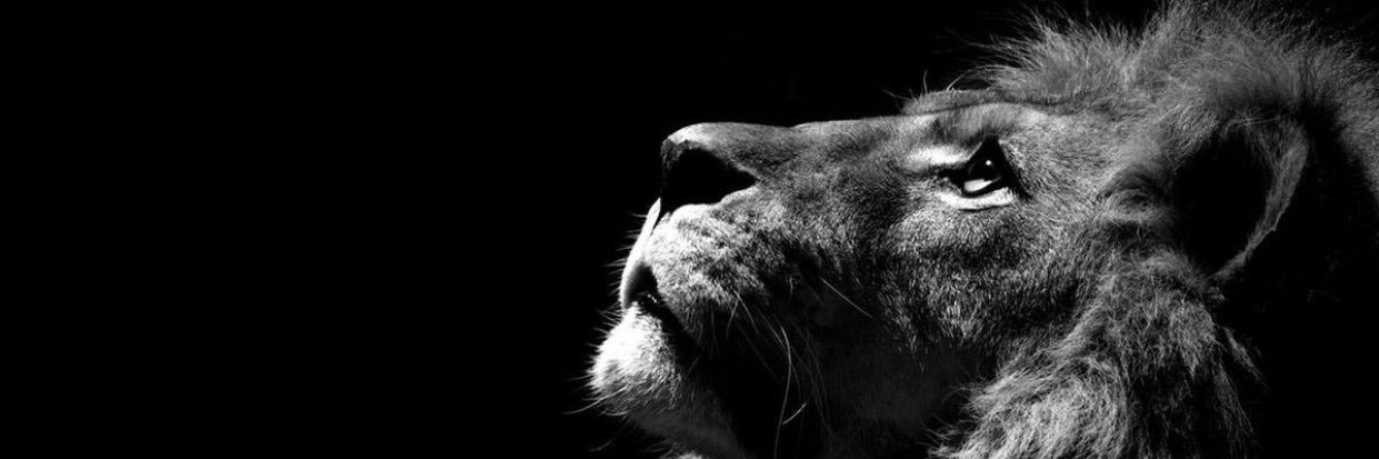 evanpbagley's profile banner image