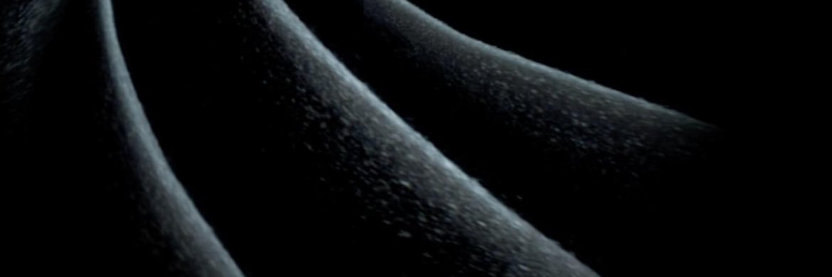 alextaille's profile banner image
