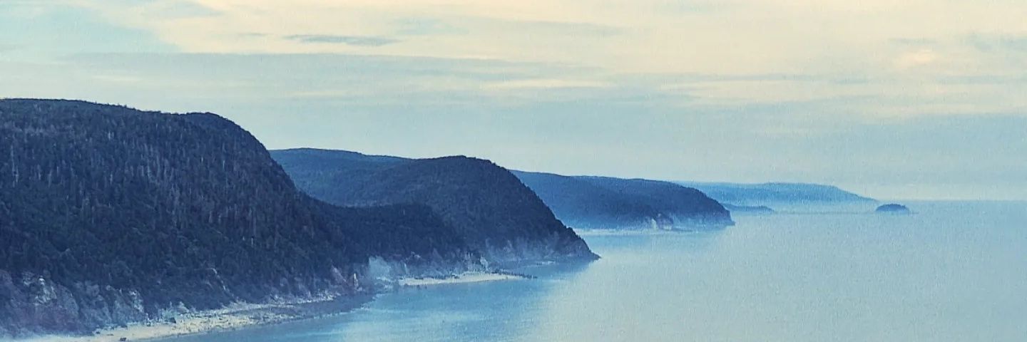 LianeLeger's profile banner image