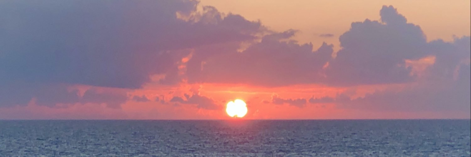 heidilynphd's profile banner image