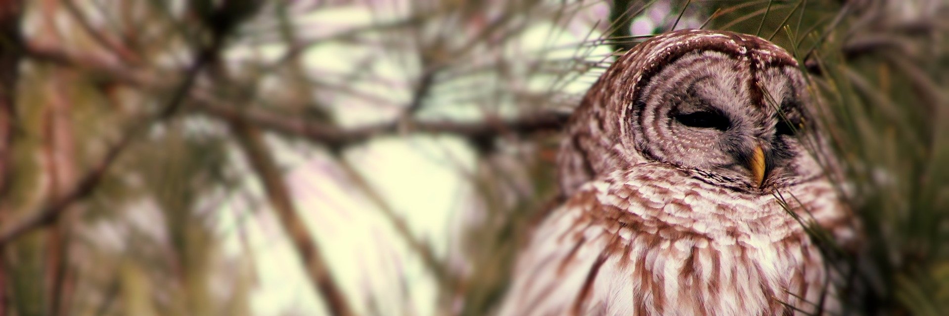 kcwrites89's profile banner image