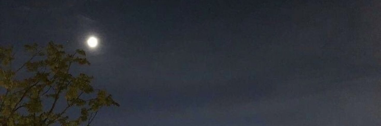 mh1__4's profile banner image