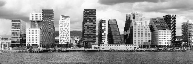 Finnish Partners banner