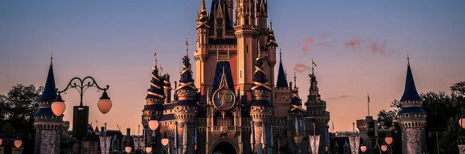 lia_ali11's profile banner image