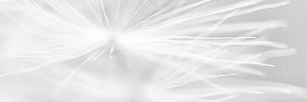 GLORIAESCOBARF's profile banner image