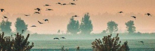Chulah33's profile banner image