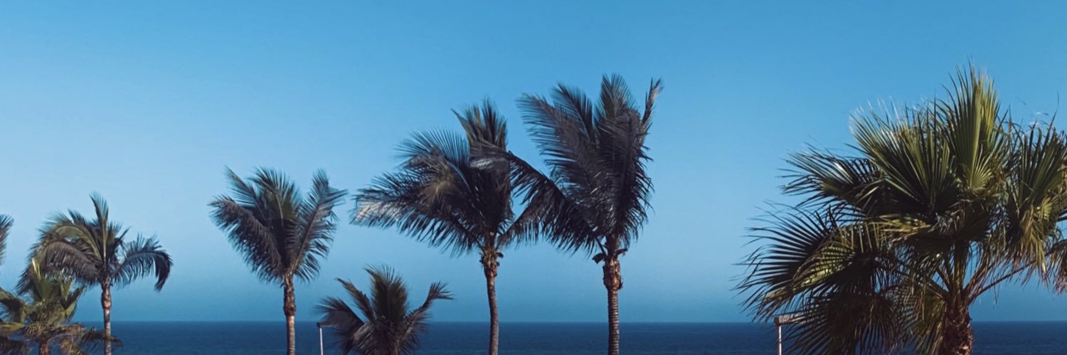 ZaidaRms's profile banner image