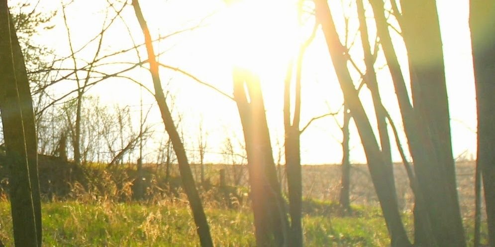 tlimmartin's profile banner image