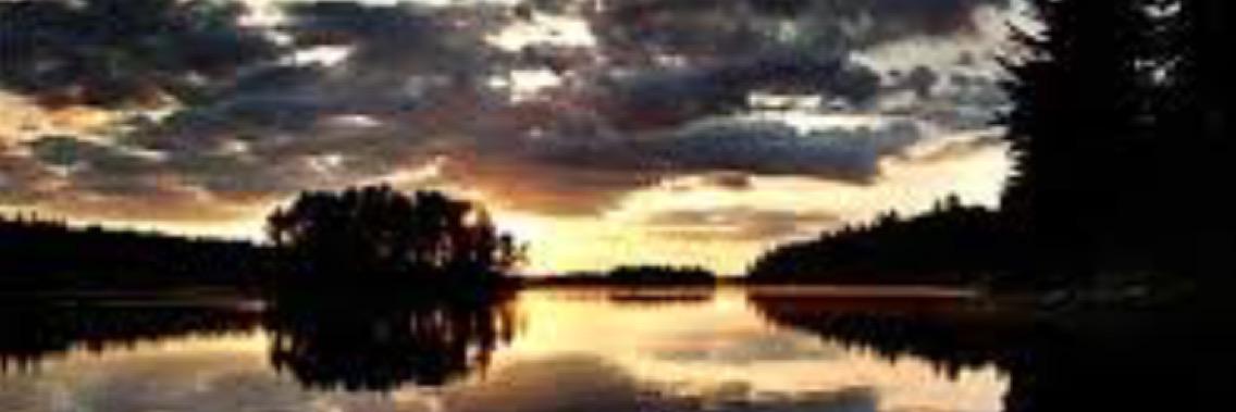 R. Bestul banner