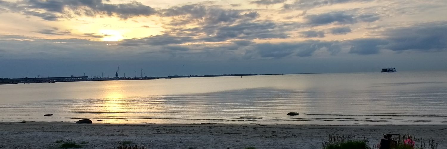 Florian Heyer banner