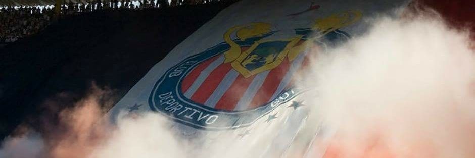 Edgar el foca banner